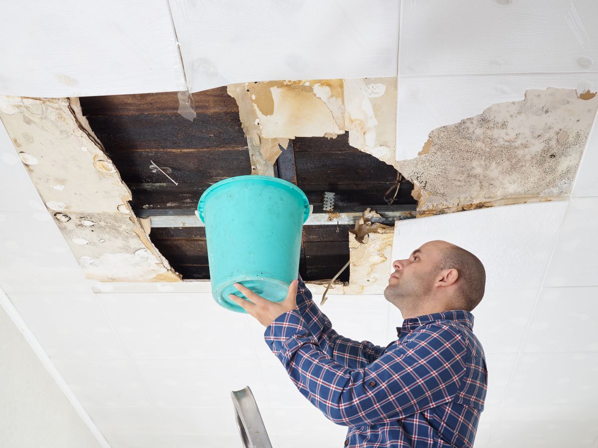 Water Damage Retoration,